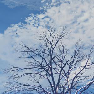 精品女同一区二区三区免费播放
