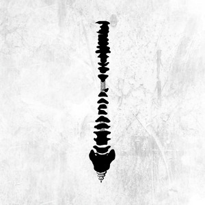 精品女同一区二区三区免费播放
