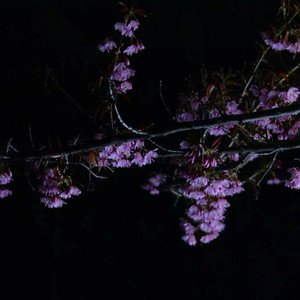 精品女同一区二区三区免费播放
